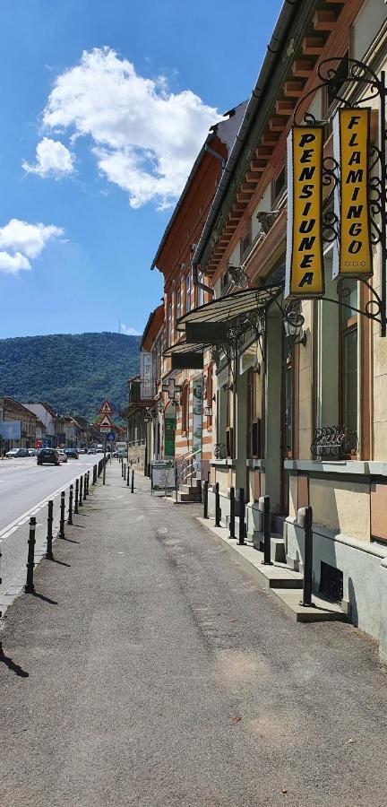 Pension Flamingo Brașov Exterior foto